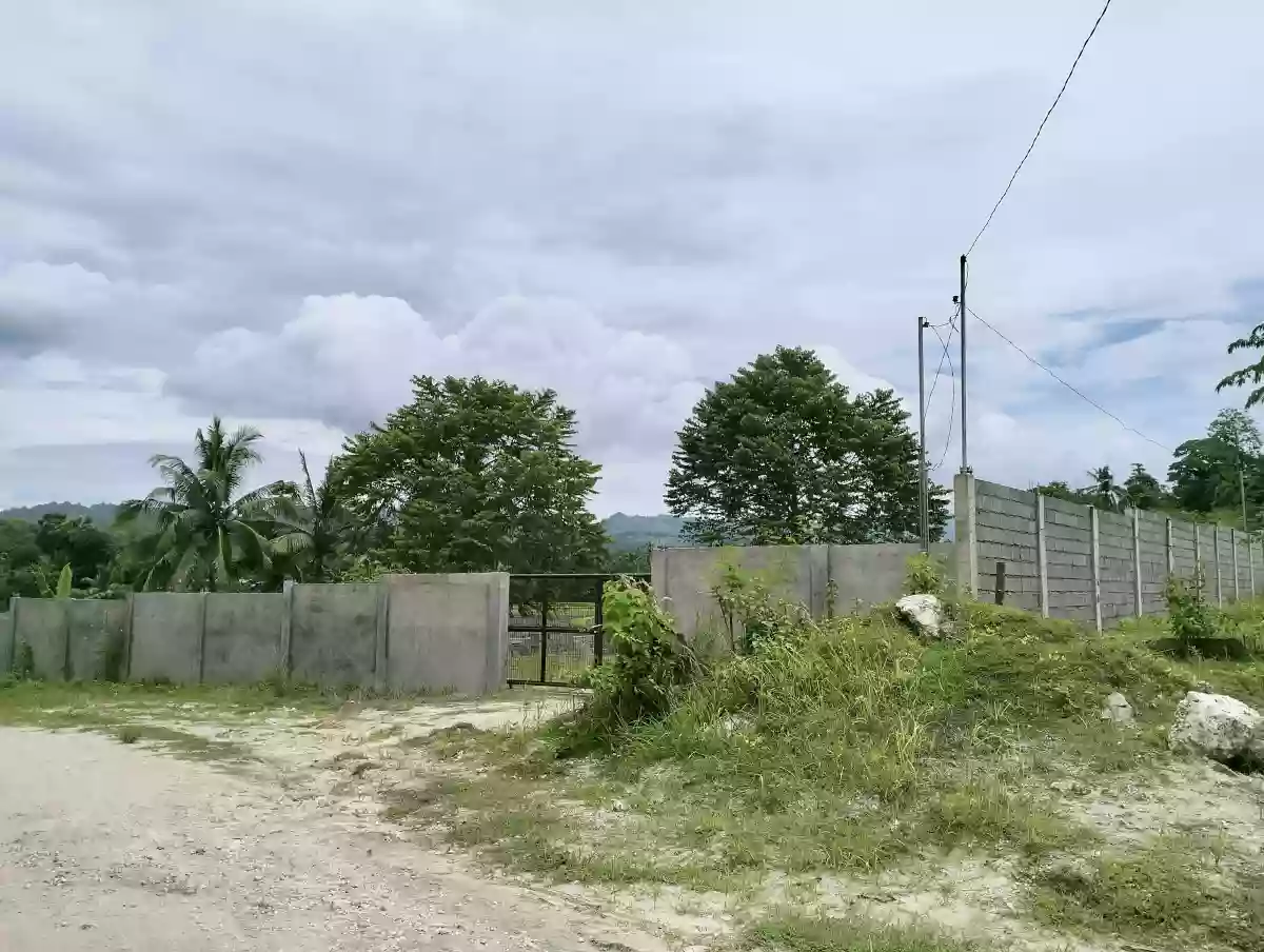 1 hectare Land for rent — Agricultural Lot in National Highway, Koronadal City, South Cotabato — Photo 4