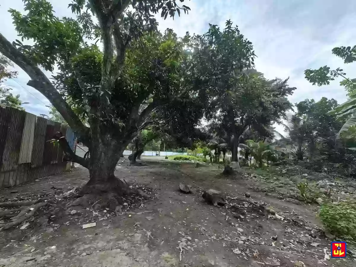 Rush Sale Commercial Lot in Batinguel, Dumaguete [available] — Residential Lot in Negros Oriental, Philippines — Photo 2