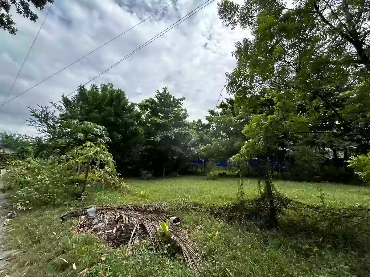 For Sale: Residential Lot in Aplaya, Digos, 676 sqm — Residential Lot in Digos, Davao del Sur, 8002 — Photo 3