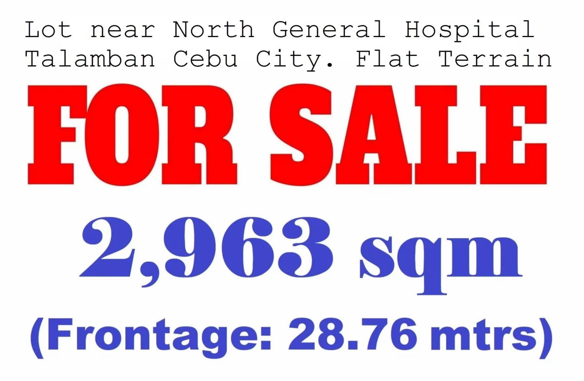 Commercial Lot For sale in Talamban Cebu City — Commercial Lot in Cebu, Philippines — Photo 2