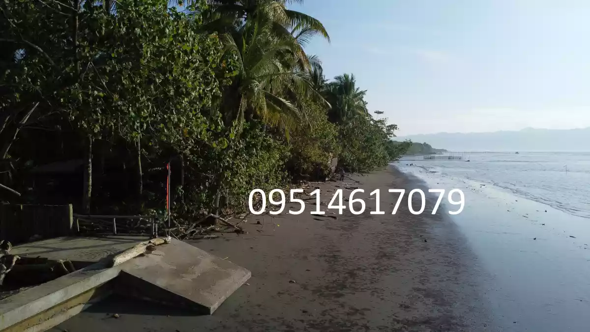 905 sqm Beachline Property in Busaon, Tagum City: Your Dream Beachfront Awaits — Beach Lot in Tagum, Davao del Norte, Philippines — Photo 3
