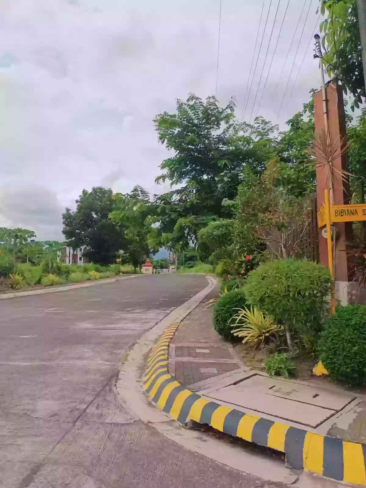 Lot For Sale — Residential Lot in Naga, Camarines Sur, Philippines — Photo 3