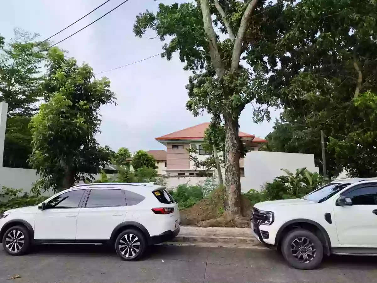 Corner Lot For Sale — Residential Lot in La Paz, Iloilo City, Iloilo — Photo 5