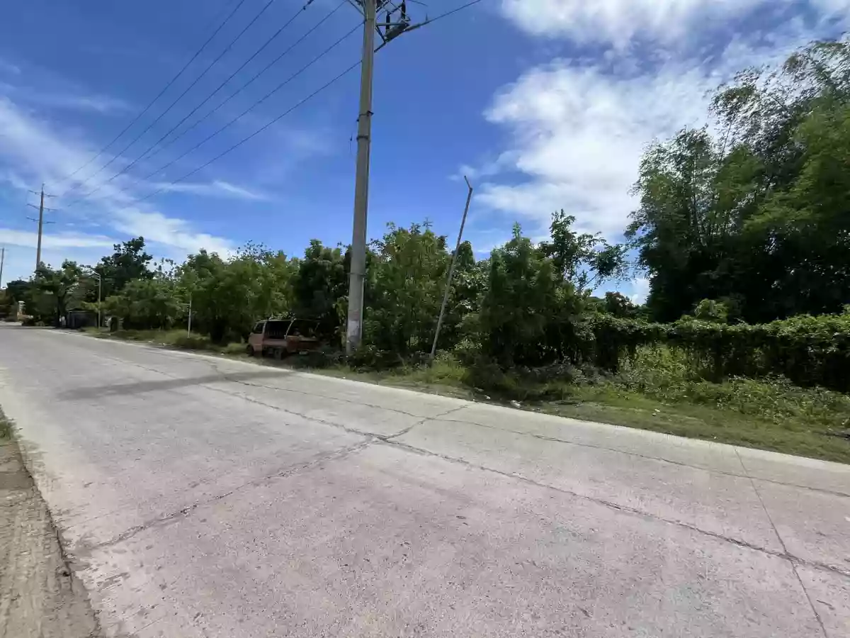 Industrial Lot for Sale in Canamucan Compostela [Tax Dec] — Industrial Lot in Compostela, Cebu, Philippines — Photo 2