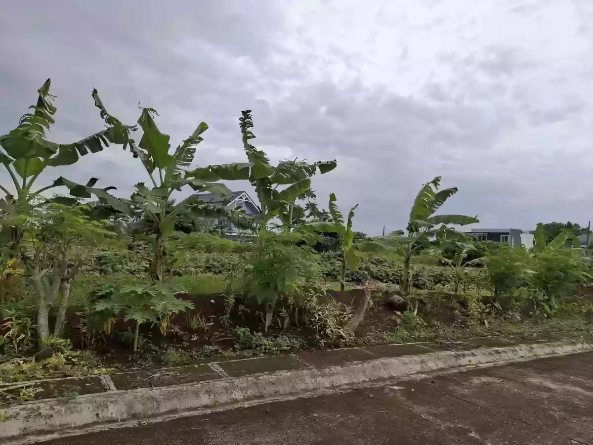 Lot for Sale — Residential Lot in Naga City, Camarines Sur, Philippines — Photo 2