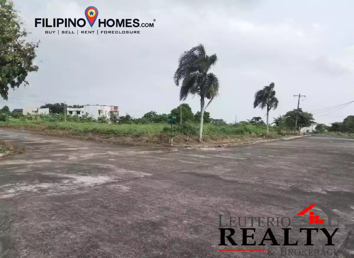 Residential Lot For Sale — Residential Lot in Naga City, Camarines Sur, Philippines — Photo 4