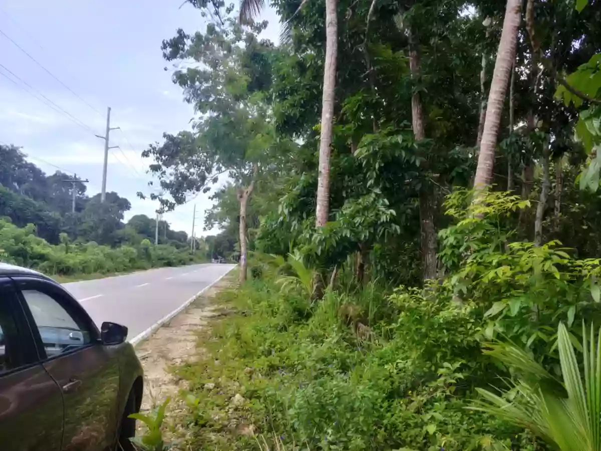 Land for Sale — Agricultural Lot in Guimaras, Philippines — Photo 3
