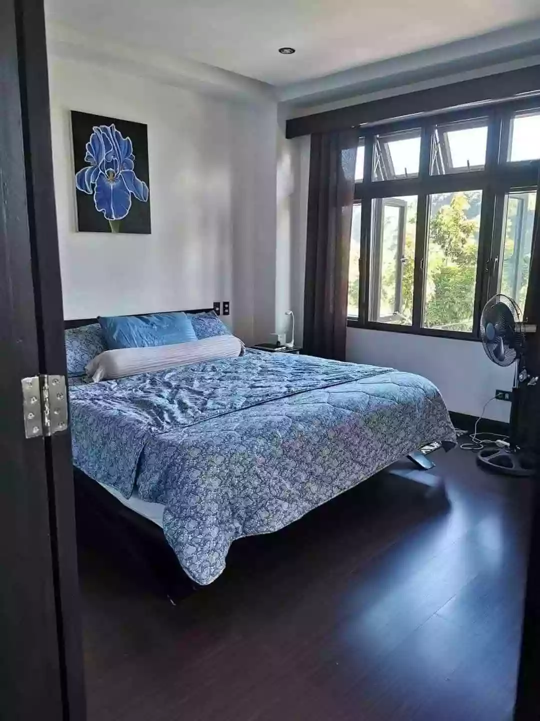 9 bedrooms House for Sale in Vista Grande Subdivision, Talisay — House and Lot in Rio de Janeiro Street, Talisay, Cebu — Photo 6
