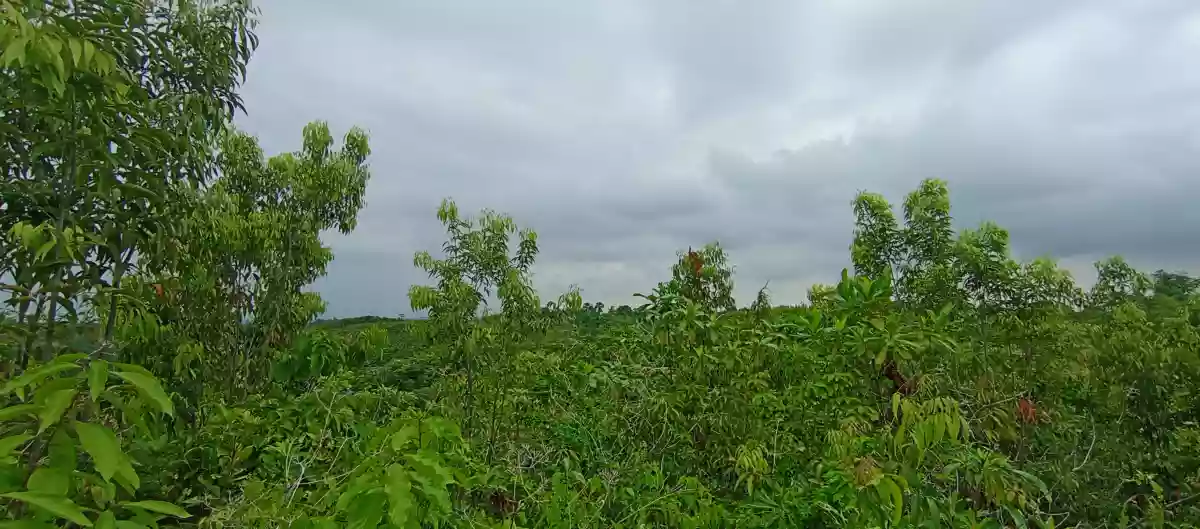 Lot For Sale in Sitio Libo, San Roque, Liloan Cebu