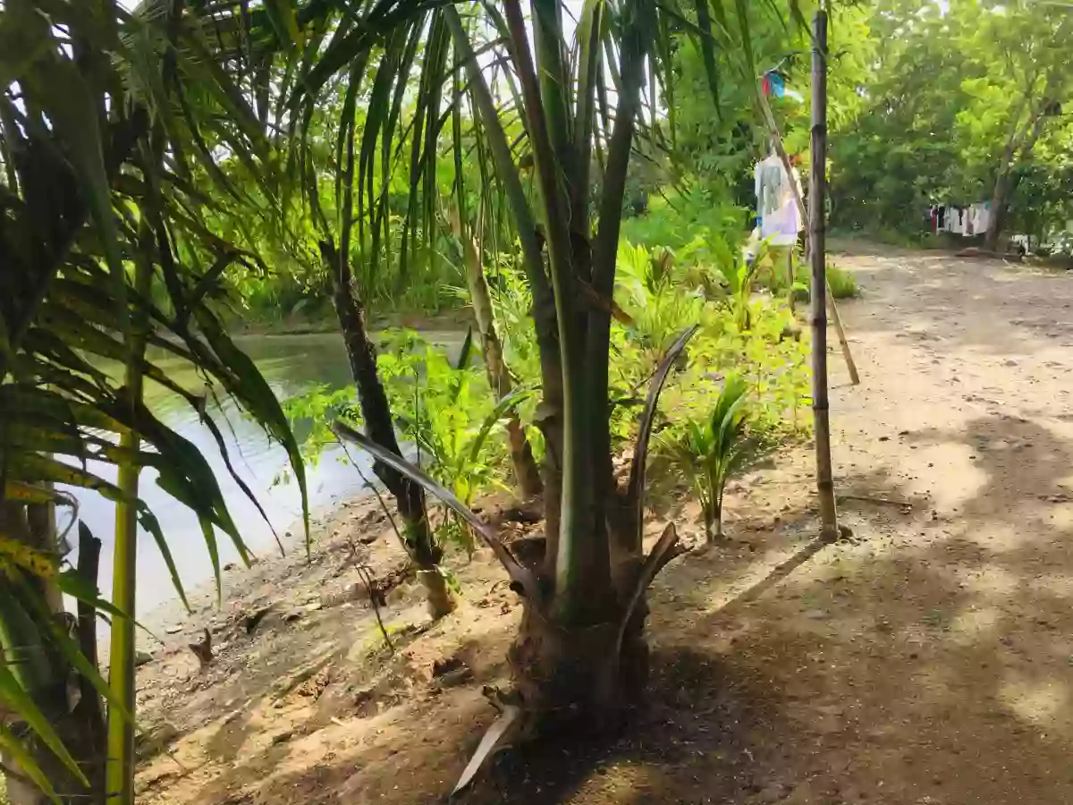 Land For Sale (Pontevedra) — Commercial Lot in Bacolod, Negros Occidental, Philippines — Photo 2
