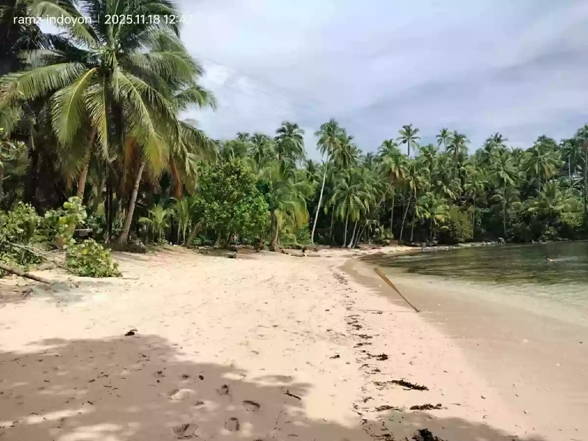 Open photo 11 of 11 — Beach Property in Hinatuan, Surigao.