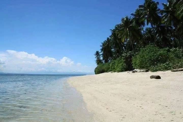 332sqm 3 Residential Beach Lot in Glan Sarangani (112+120+100=332sqm) Adjacent! — Beach Lot in Glan, Sarangani, Philippines — Photo 2