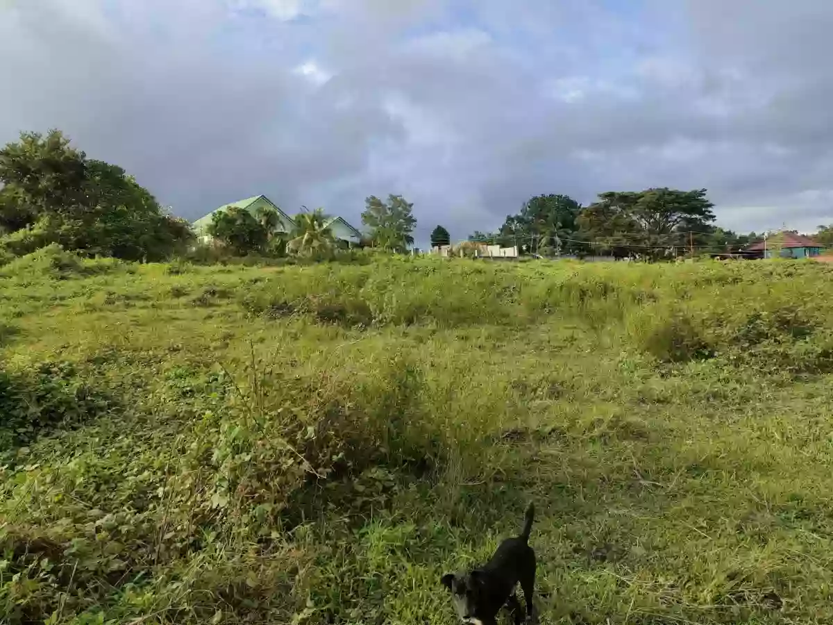 Lot for Sale in Balugo Sibulan — Residential Lot in Sibulan, Negros Oriental, Philippines — Photo 4