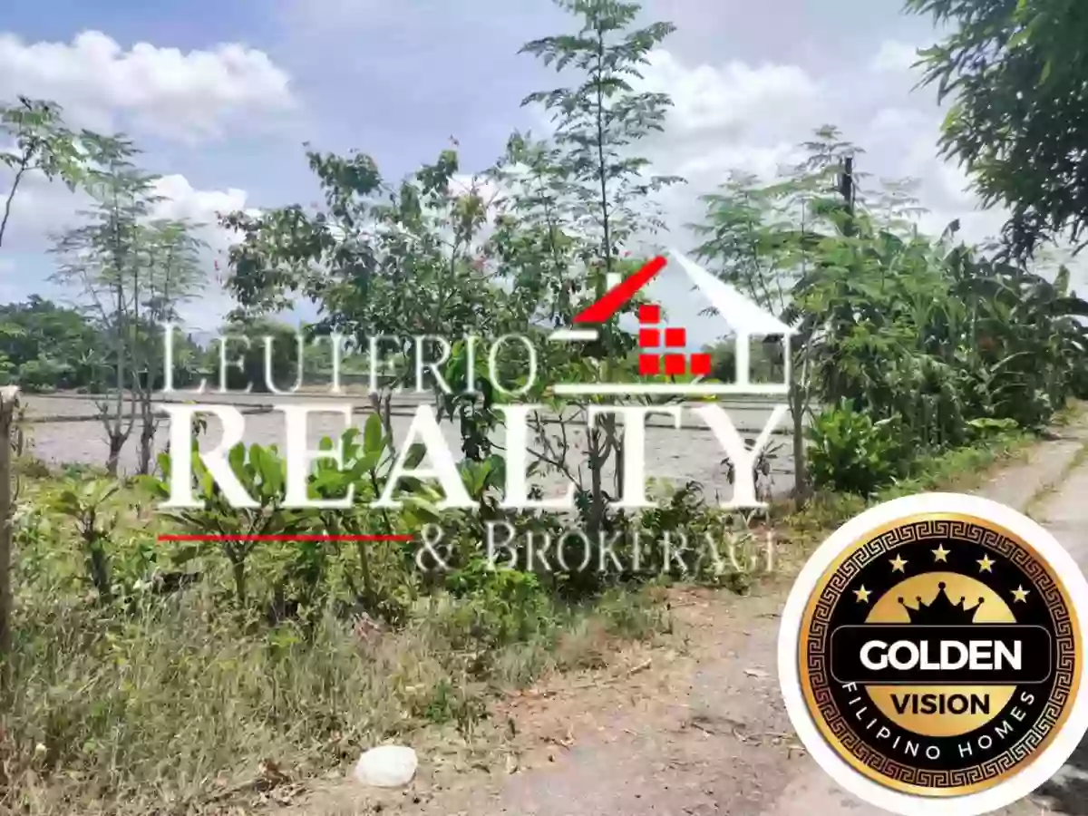 48870 — Industrial Lot in Anayan Bridge, Pili, Camarines Sur — Photo 2