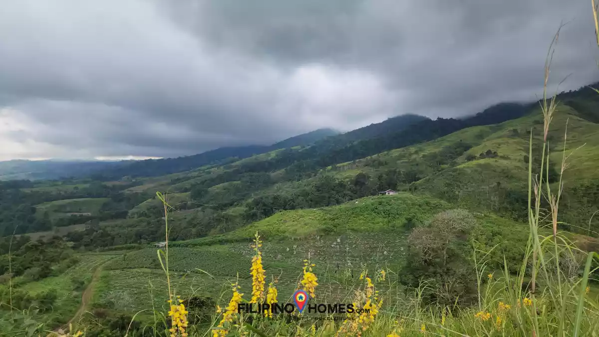 Open photo 14 of 18 — 2.2 Hectares Farm Lot with 360° View in Basak, Lantapan, Bukidnon