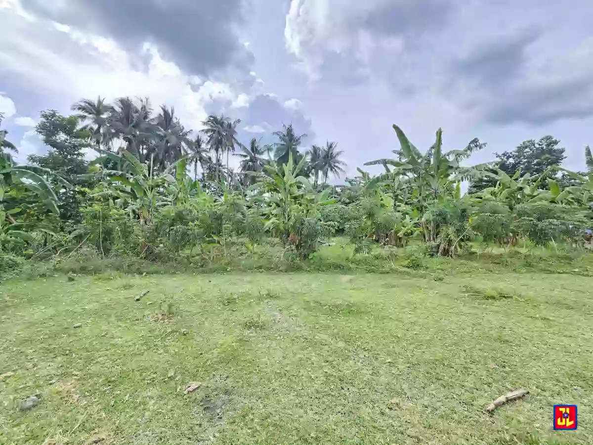 Rush Sale! 1,099 sqm Lot in East Balabag Valencia, Negros Oriental [available]
