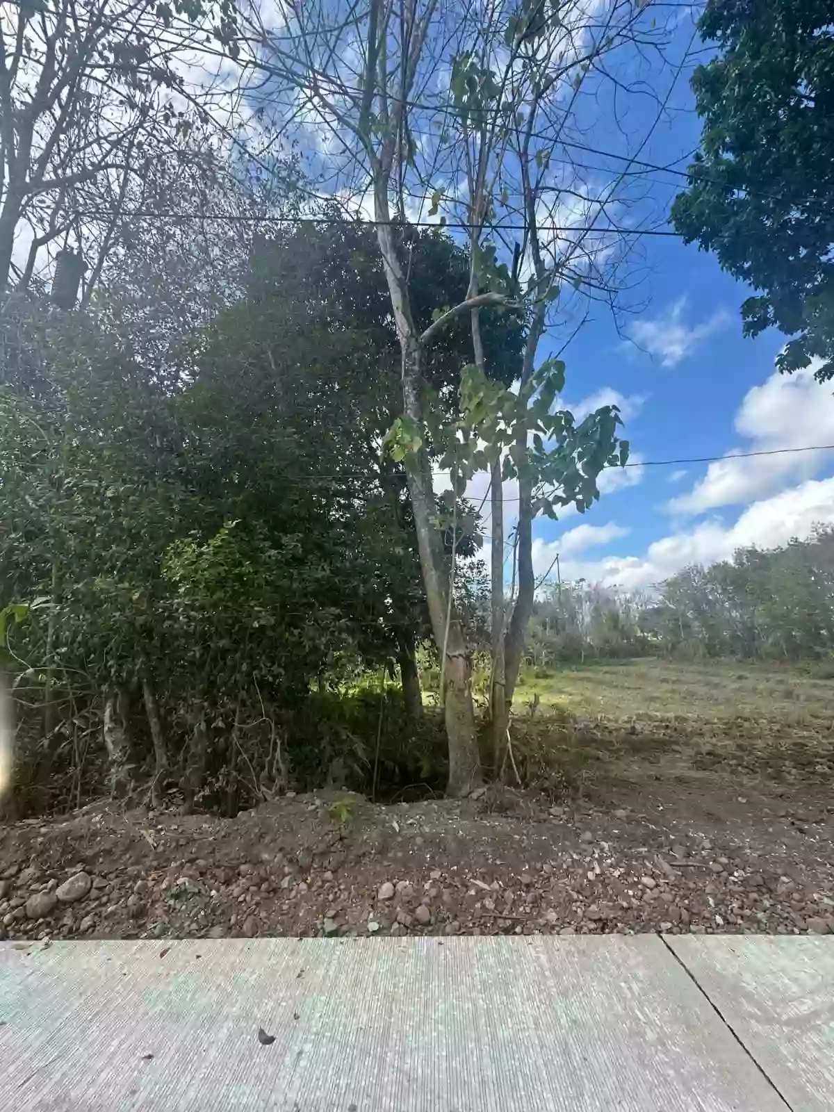 3 Hectares Agricultural Land For Sale
