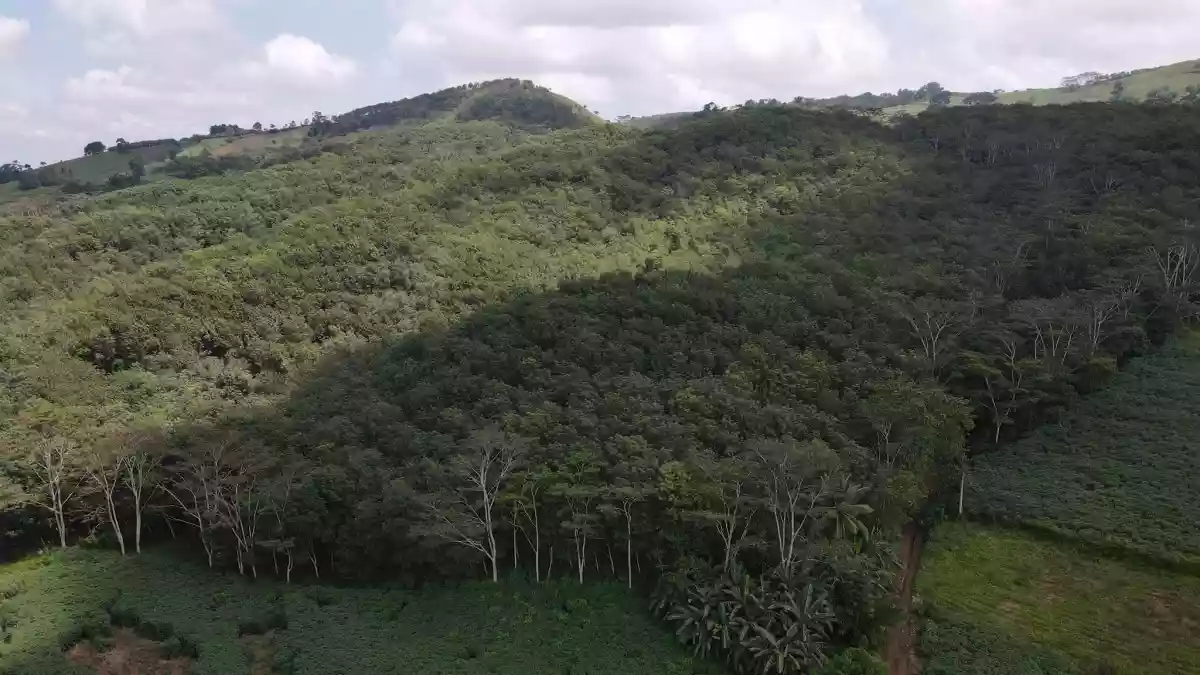 Agricultural Lot in Bukidnon for Sale