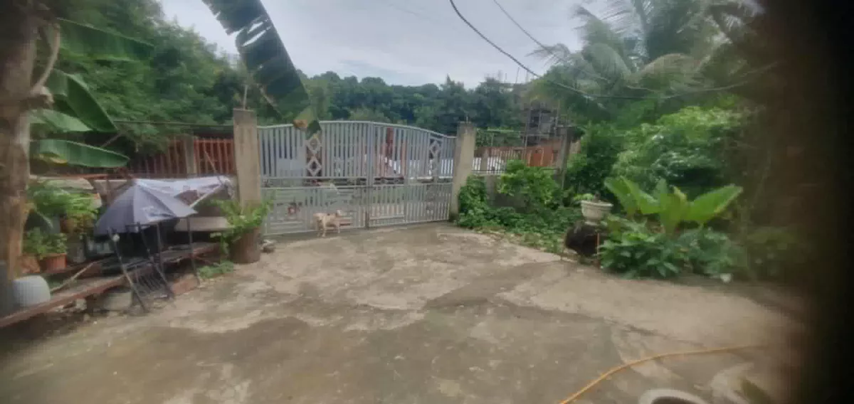 Lot for Sale in Tuburan, Cebu — Residential Lot in Tuburan, Cebu, Philippines — Photo 2