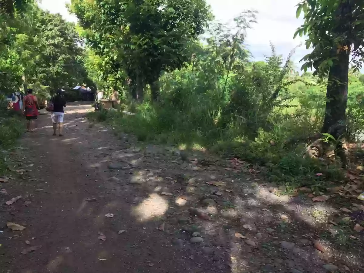 Land For Sale (Pontevedra) — Commercial Lot in Bacolod, Negros Occidental, Philippines — Photo 6