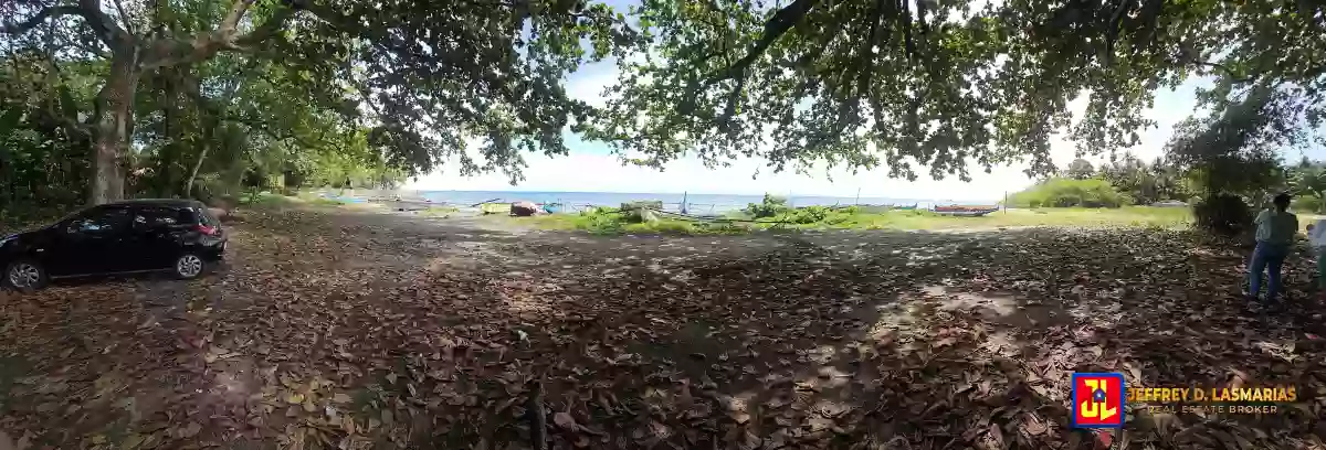 Rush Sale 38,000sqm Beach Lot in Sacsac, Bacong [available]