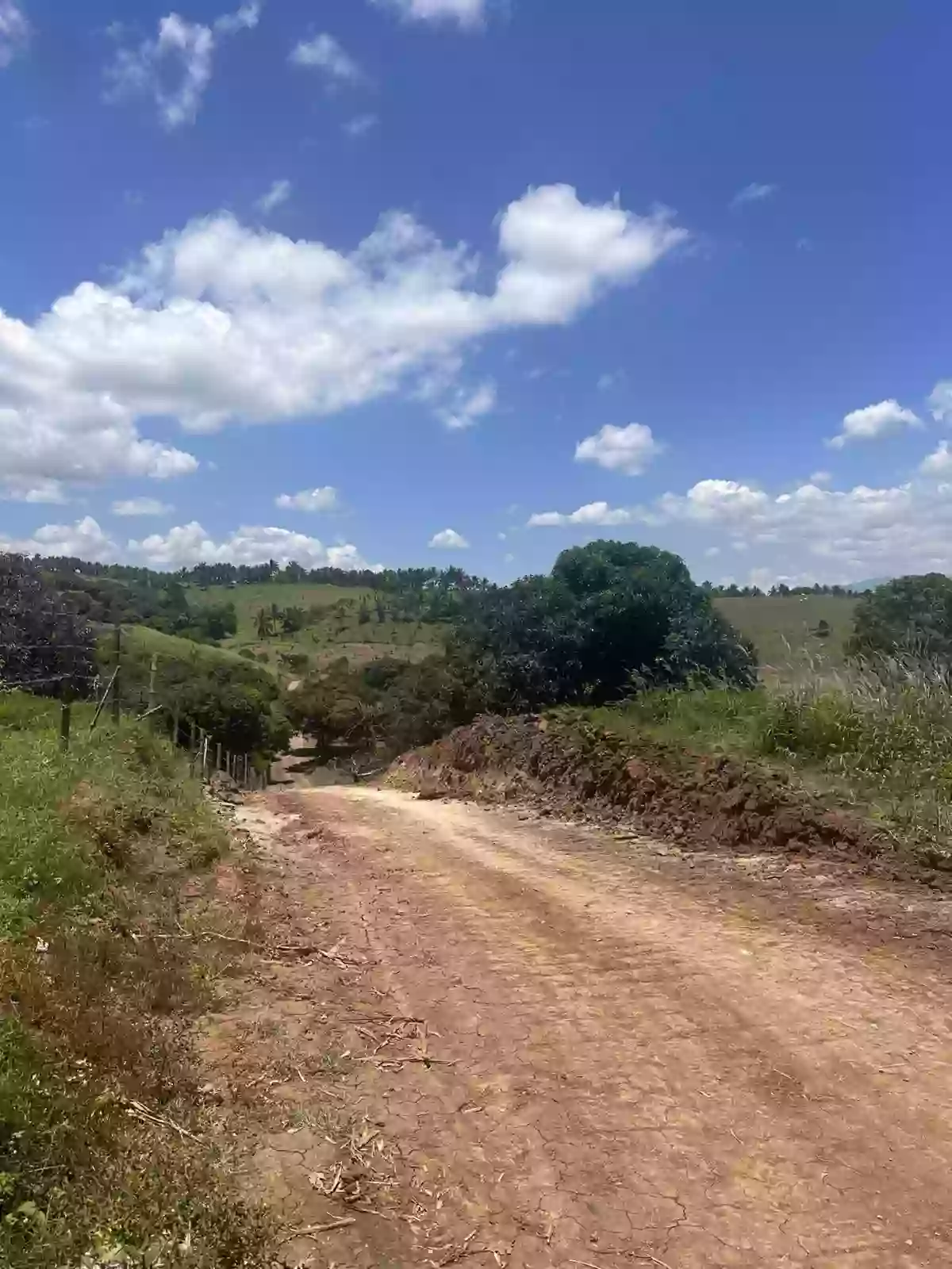 : Prime Agricultural Lot for Sale