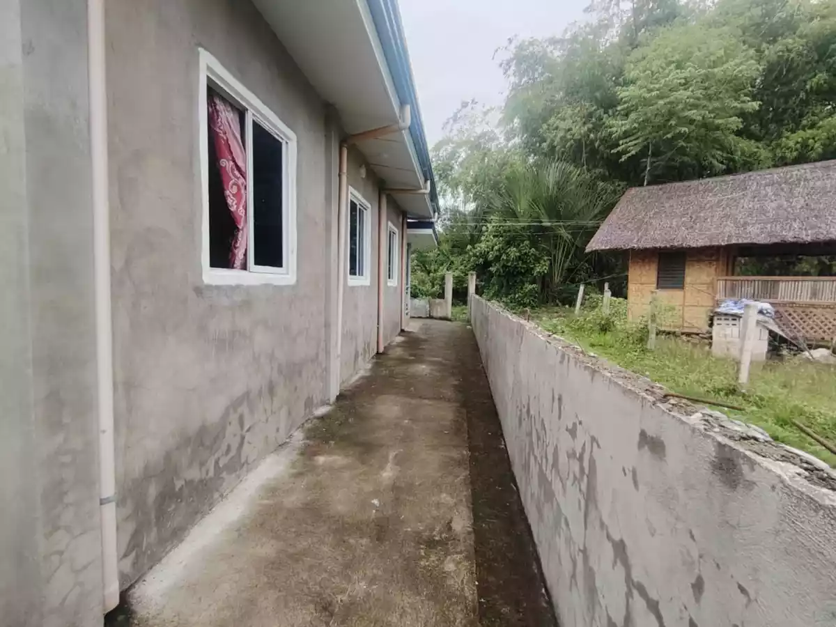 Newly built house & 200 sqm lot — Tambojangin, Amlan, Negros Oriental