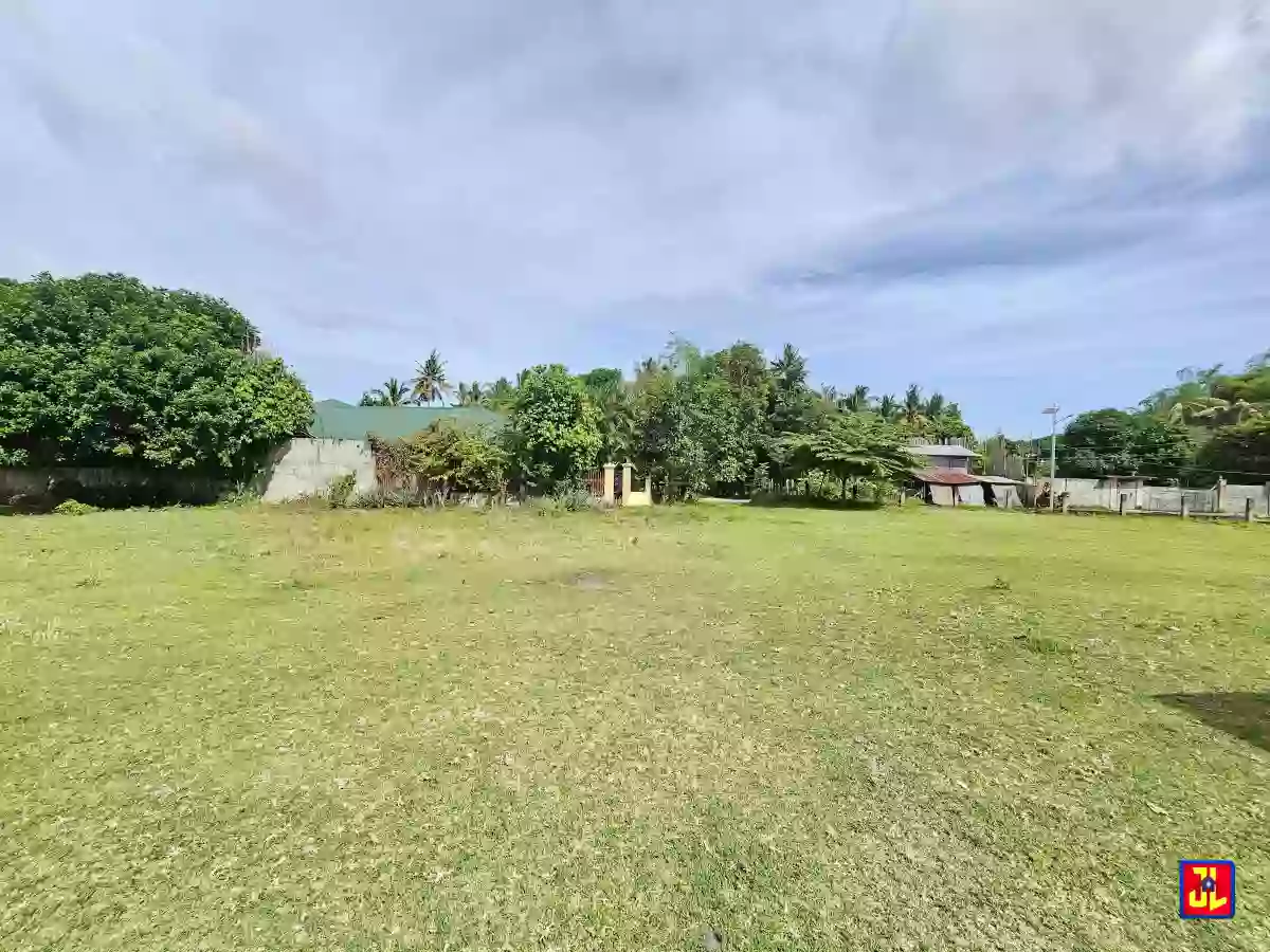Rush Sale! 1,099 sqm Lot in East Balabag Valencia, Negros Oriental [available] — Residential Lot in Valencia, Negros Oriental, Philippines — Photo 4