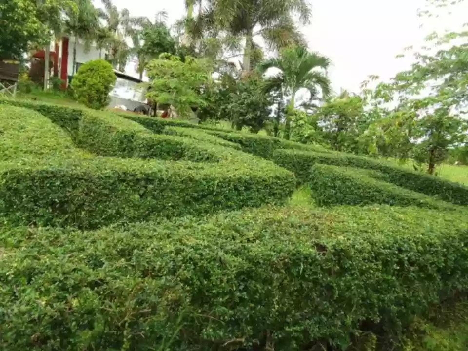 Valle Rosa Garden — Residential Lot in Bago City, Negros Occidental, Philippines — Photo 6
