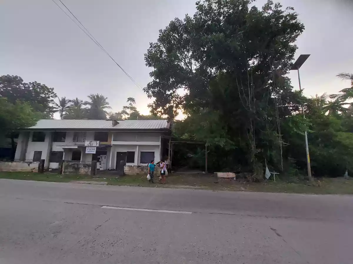 For Sale: Commercial/Residential Lot in Catarman Dauis, Bohol along the National Road — Residential Lot in Dauis, Bohol, Philippines — Photo 3