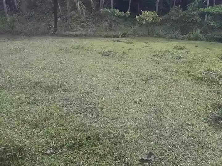 FARM LOT FOR SALE!! — Agricultural Lot in Pilar, Surigao del Norte, Philippines — Photo 2