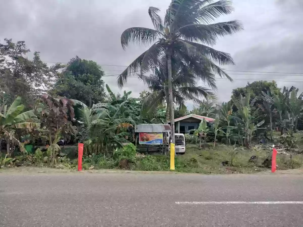 Farm Lot Along the Highway – Pinamungahan — Residential Lot in Cebu, Philippines — Photo 3