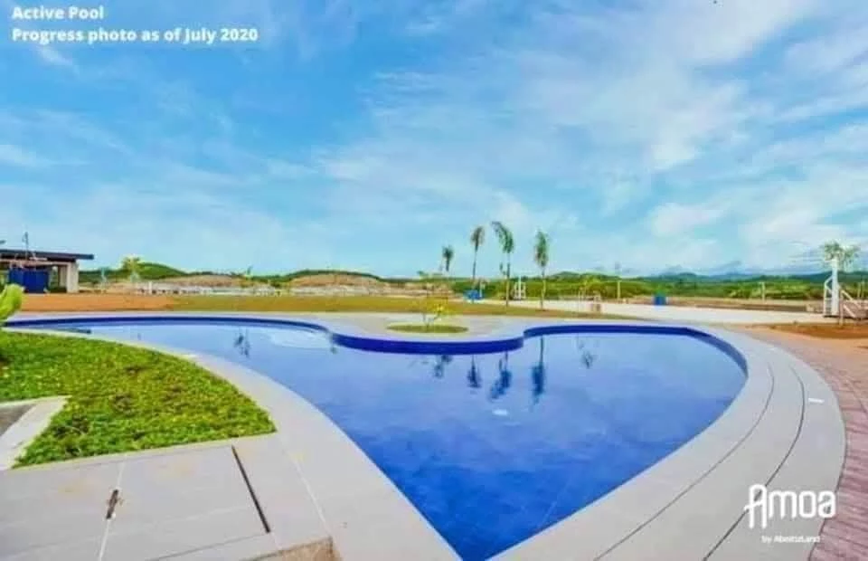 Lot For Sale in Amoa Subdivision — Residential Lot in Tamiao, Compostela, Cebu — Photo 3