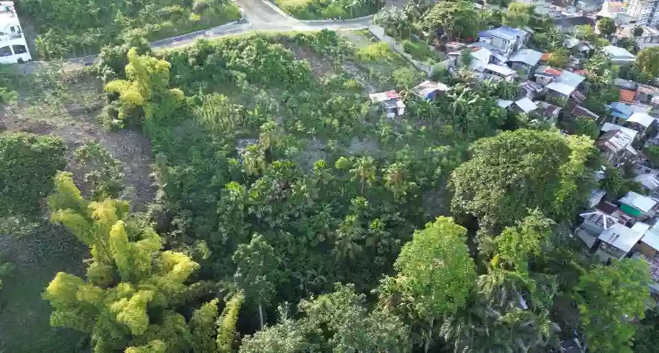 Lot Only in Quiot Pardo, Cebu City — Residential Lot in Cebu City, Cebu, Philippines — Photo 2