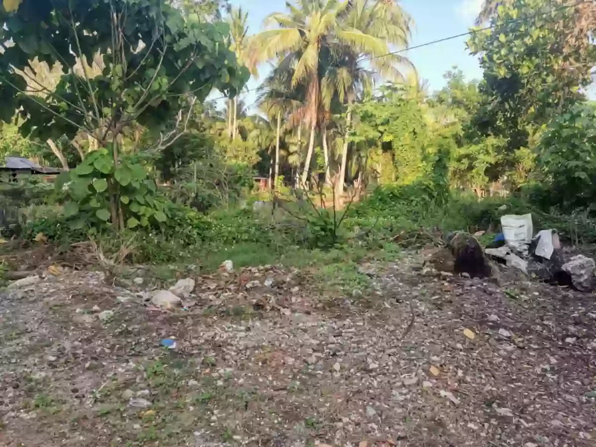 200 sqm lot near UST Ligaya — Residential Lot in General Santos City (Dadiangas), South Cotabato, Philippines — Photo 2