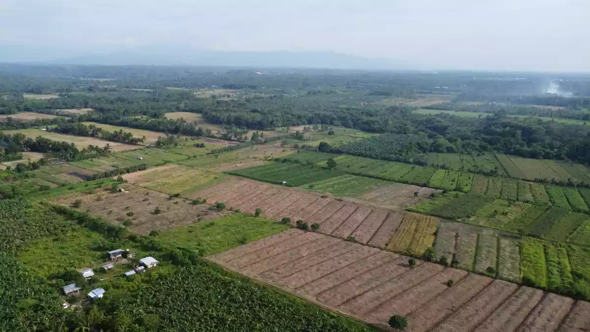 Exceptional Development Opportunity: 12 Hectares of Prime Agricultural Land in Brgy. Mesaoy, New Corella, Davao Del Norte — Agricultural Lot in Davao del Norte, Philippines — Photo 6