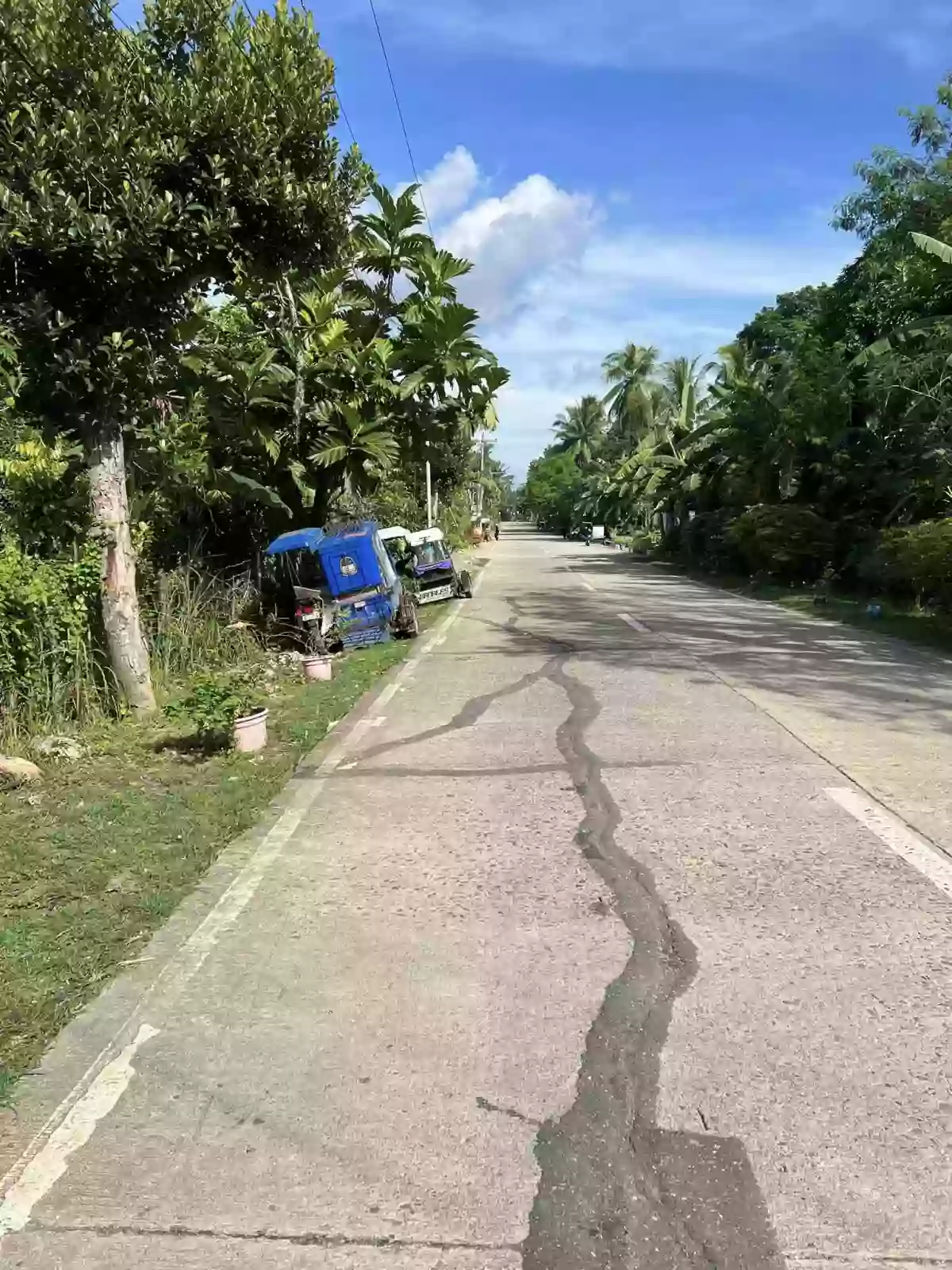 Lot for sale in Campangga Barili Cebu