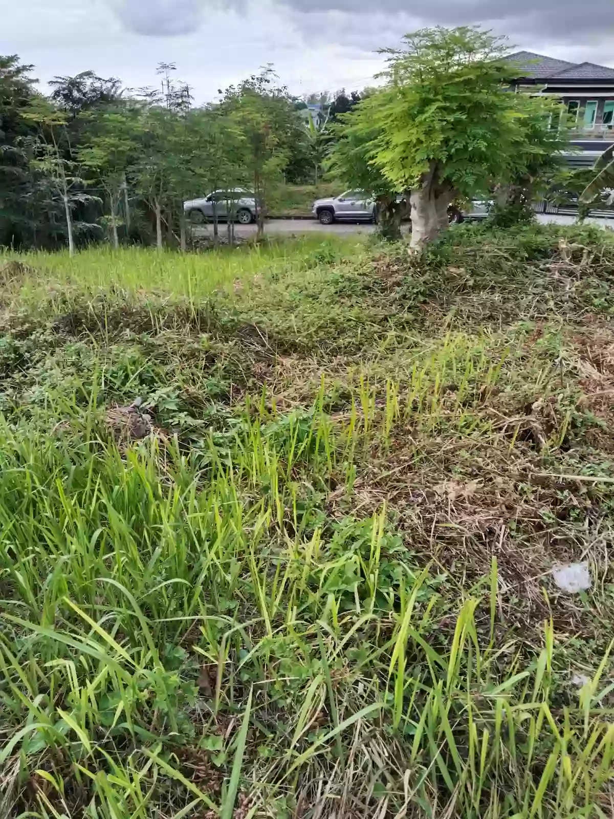For Sale Corner lot at Royale Cebu Estate, Consolacion, Cebu.