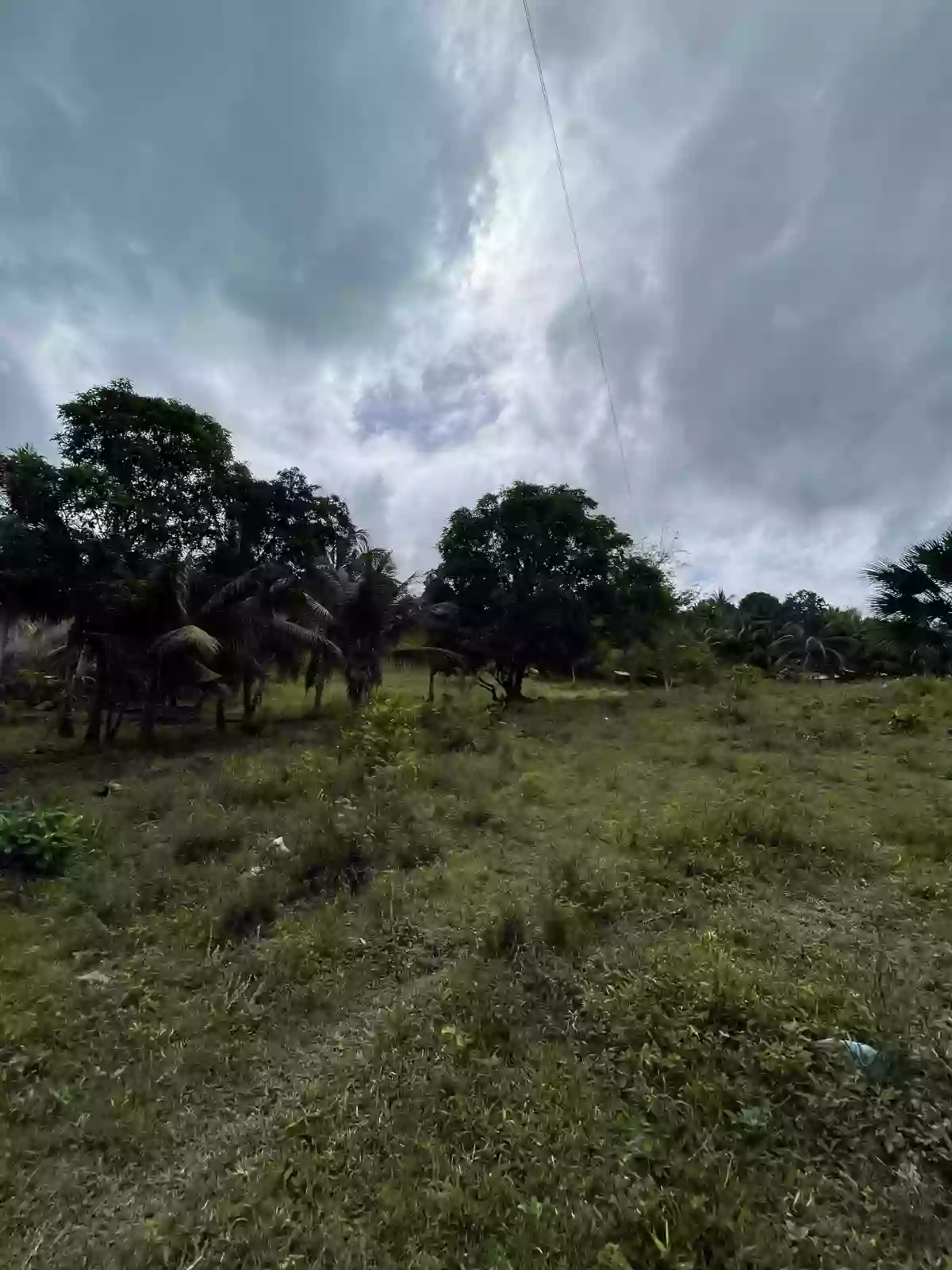 Lot for Sale along the National Highway in Tabuelan — Agricultural Lot in Cebu, Philippines — Photo 6