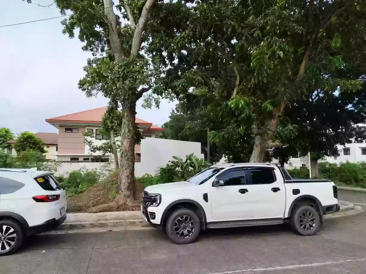 Corner Lot For Sale — Residential Lot in La Paz, Iloilo City, Iloilo — Photo 2