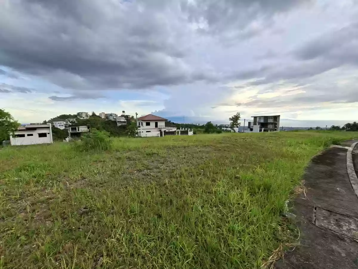 Overlooking Residential Lot for Sale — Residential Lot in Rio de Janeiro Street, Talisay, Cebu — Photo 3