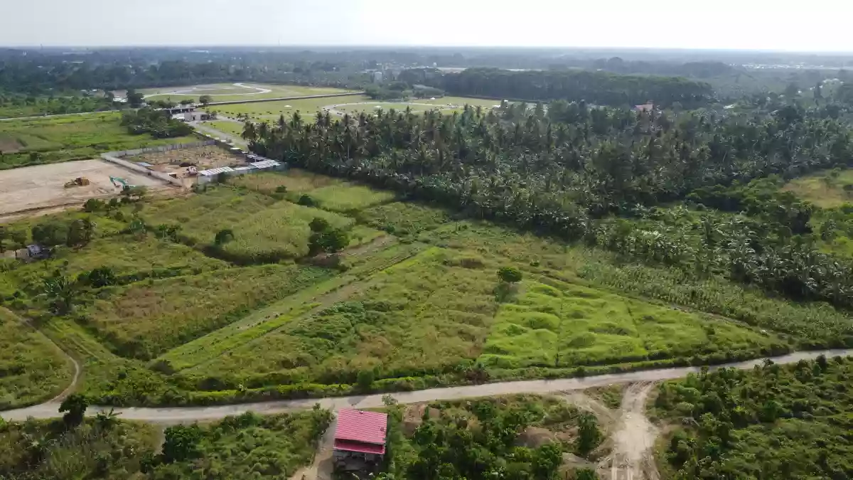 Prime Development Opportunity: 3 Hectares of Land for Sale in Tagum City, Davao Del Norte — Industrial Lot in Davao del Norte, Philippines — Photo 2