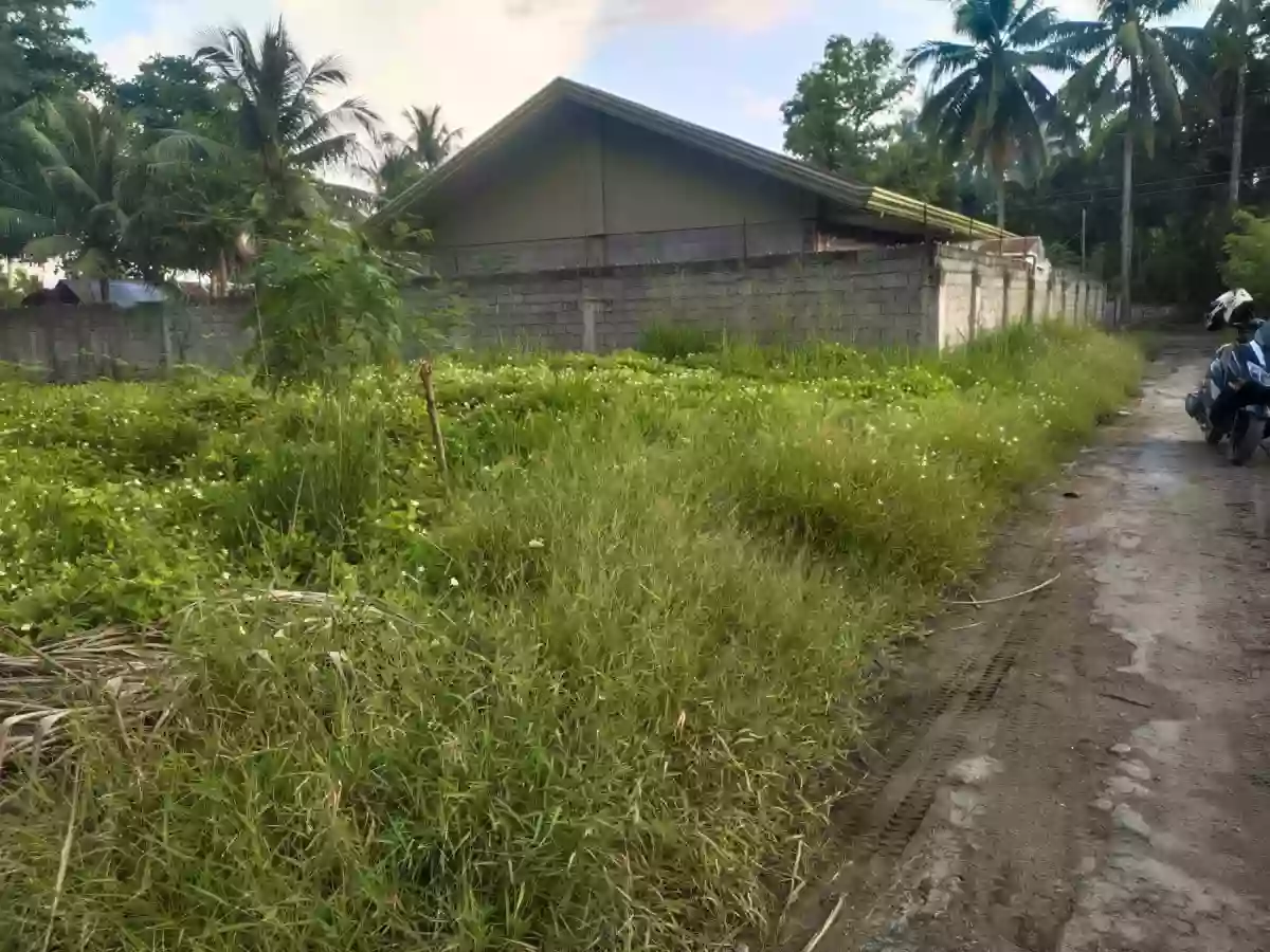 Residential Lot on Nursery Road Back of VSM Premier and Altafina — Residential Lot in General Santos City, South Cotabato, Philippines — Photo 2