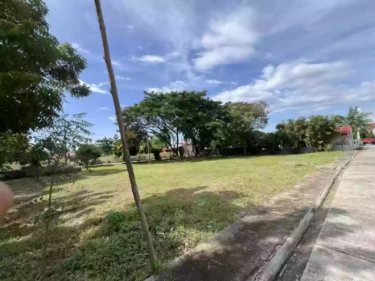 Amazing Residential Lot for Sale in Butuan City — Residential Lot in Butuan City, Agusan del Norte, Philippines — Photo 4