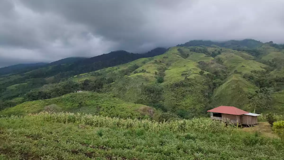 2.2 Hectares Farm Lot with 360° View in Basak, Lantapan, Bukidnon — Agricultural Lot in Lantapan, Bukidnon, Philippines — Photo 6