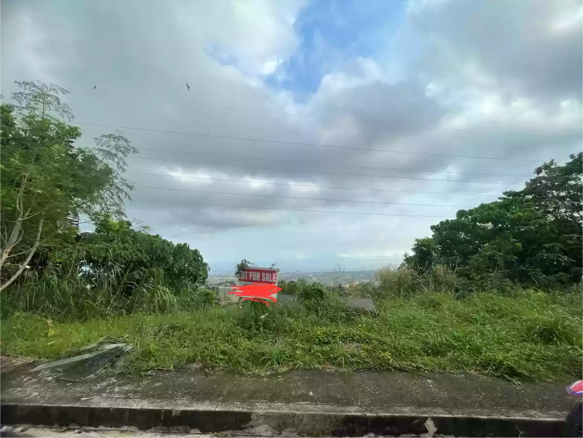 Prime Overlooking Lot for sale - Perfect for your dream home — Residential Lot in Talisay, Cebu, Philippines — Photo 5