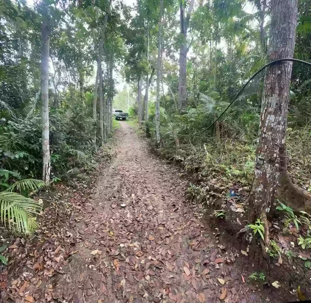 CORELLA FARM LOT — Agricultural Lot — Photo 5