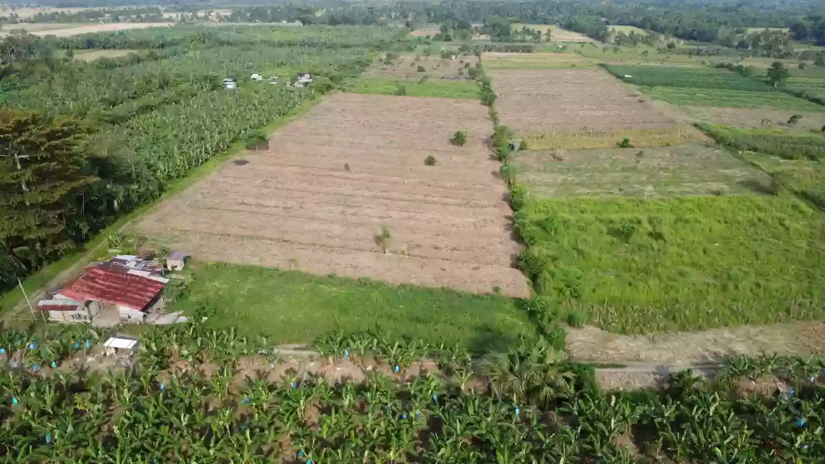Exceptional Development Opportunity: 12 Hectares of Prime Agricultural Land in Brgy. Mesaoy, New Corella, Davao Del Norte — Agricultural Lot in Davao del Norte, Philippines — Photo 2