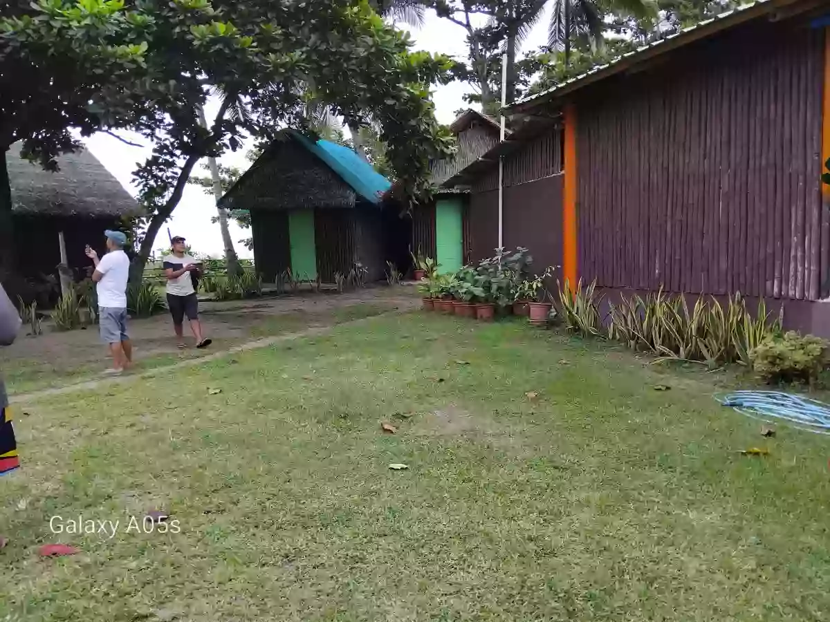 Beach Resort For Sale (Sipalay) — Beach Lot in Sipalay City, Negros Occidental, Philippines — Photo 4