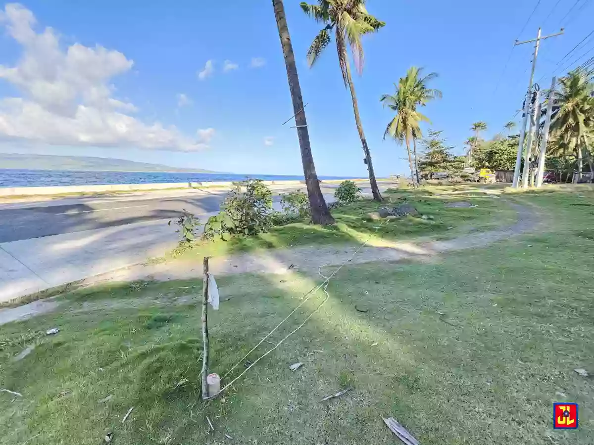 Rush Sale! From P7,000 to P6,250 per sqm! Prime Lot in Lalaan, San Jose, Negros Oriental [available] — Commercial Lot in Western Nautical Highway, San Jose, Negros Oriental — Photo 3